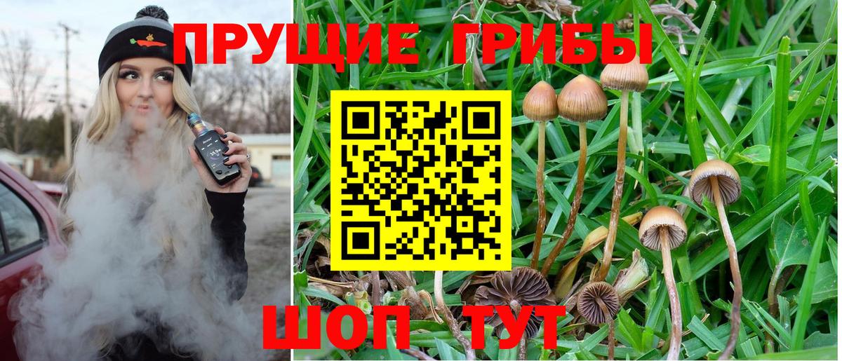 наркота  Вход с VPN  Павловский Посад  Галлюциногенные грибы Cubensis 